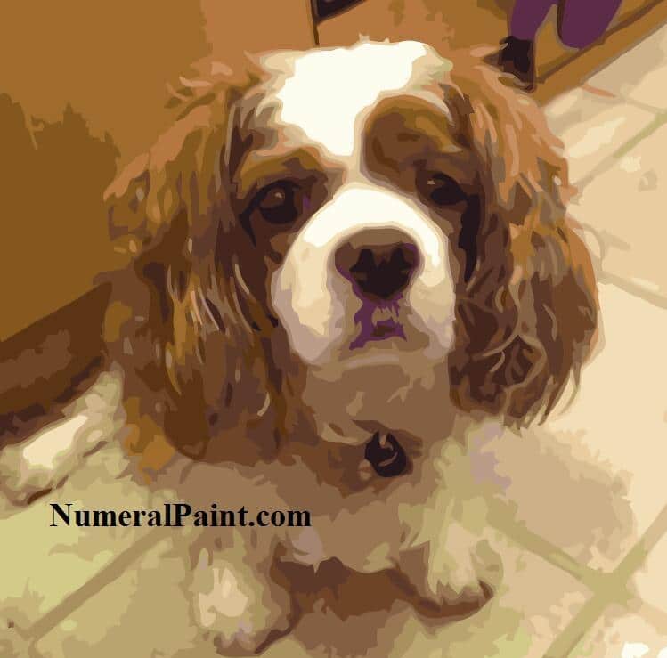 Personalized dog paint by number