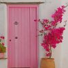 Beautiful Pink Door paint by numbers
