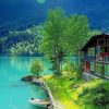 Beautiful View River House Boat Tress paint by numbers