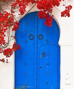 Blue Door and Red Flowers paint by numbers