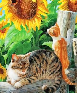 Cat Sunflower And Butterfly paint By numbers