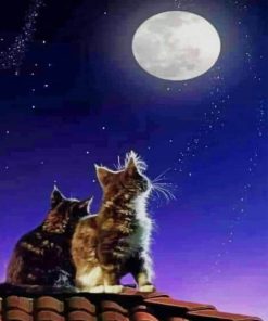 Cats Watching Moon paint by numbers