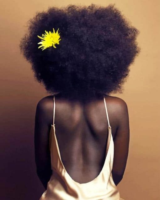dark skin girl with natural hair aesthetic paint by number
