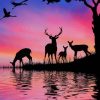 Deer Painting Silhouette paint by numbers