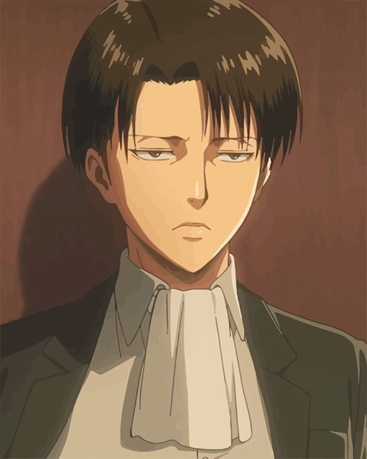 Levi Ackerman - Animes Paint By Numbers 