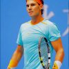 rafael nadal teniss player paint by numbers
