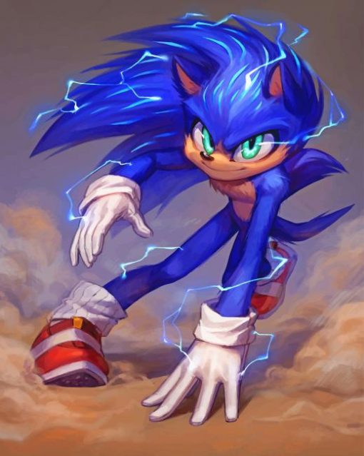 sonic the hedgehog Cartoon paint by number