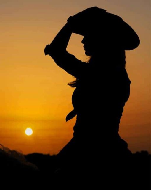 Sunset Silhouette Cowgirl On Horse paint by numbers