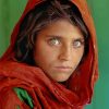 Afghan Girl By Steve Mccurry paint by numbers