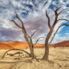 Africa Desert Namib paint by number