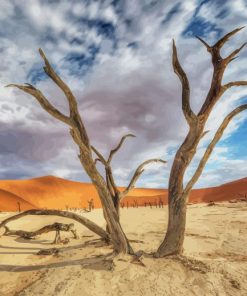 Africa Desert Namib paint by number