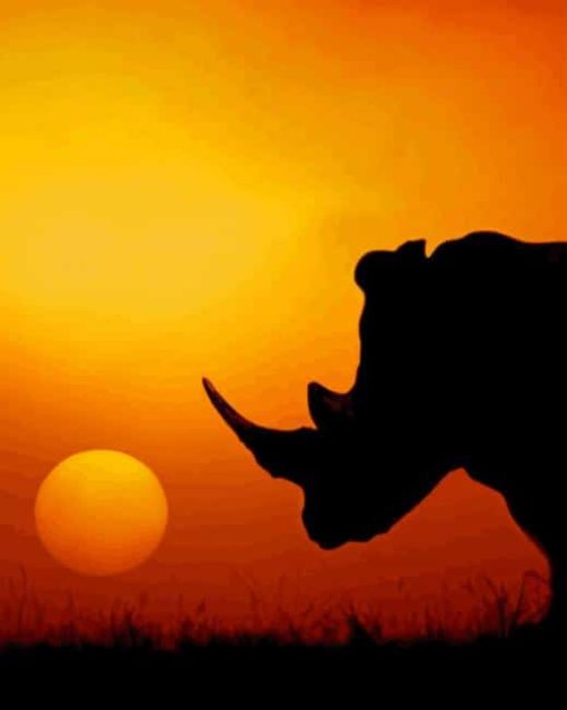 African Sunset Rhinos paint by numbers