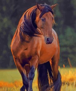American Quarter Horse paint by numbers