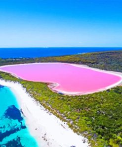 bubble gum pink lake painting by numbers