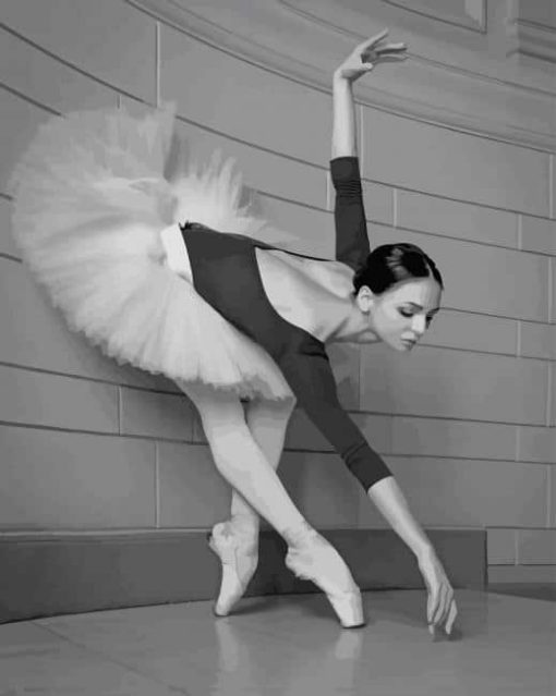 Ballet dancer black and white paint by numbers