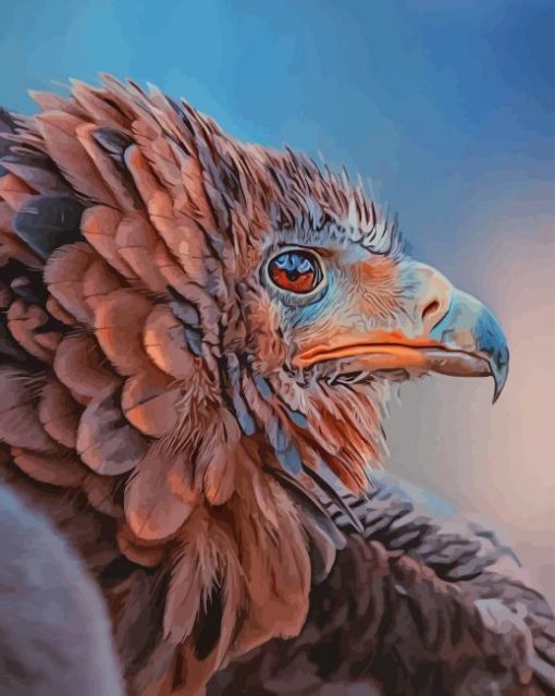 Bird Of Prey paint by numbers