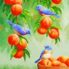 Birds On Peaches paint by numbers