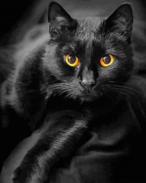Black Cat paint by numbers