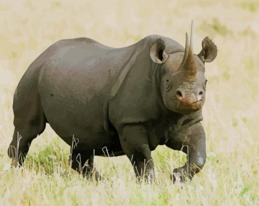 Black Rhinoceros Animal paint by numbers