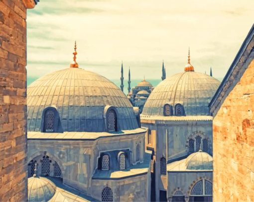 Blue Mosque Hagia Sophia In Istanbul painting by numbers