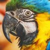Blue and Yellow Macaw Face paint by numbers