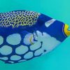 Blue White Tang Fish paint by number