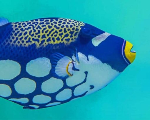 Blue White Tang Fish paint by number