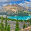 Bow Summit And Peyto Lake paint by number