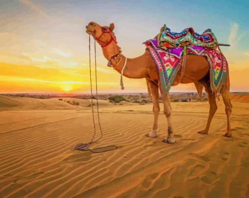 Camel in desert paint by numbers