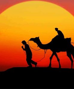 Camel sunset silhouette paint by numbers