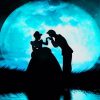 Cinderella And Prince Silhouette paint by numbers