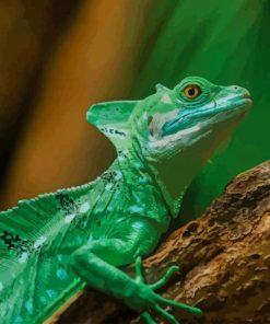 Close Up Green Lizard paint by number