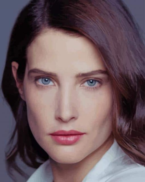 Cobie Smulders paint by numbers