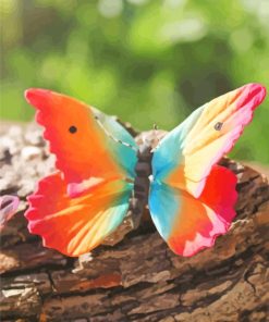 Colored Butterfly paint by numbers