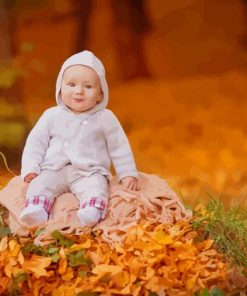 Cute Baby Autumn paint by number