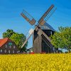 Germany Field Windmill paint by number