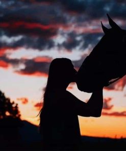 Girl And Horse Silhouette paint By numbers