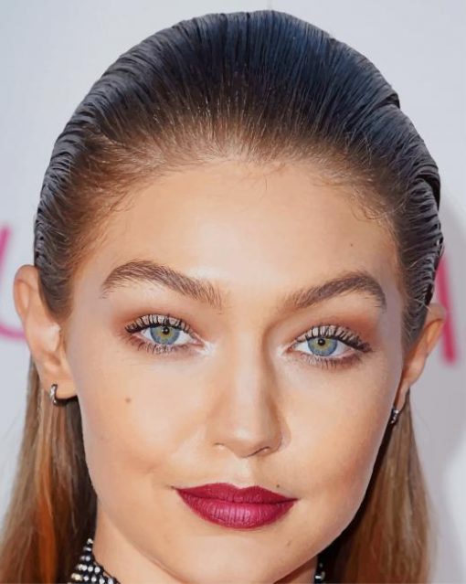 Gorgeous gigi hadid paint by numbers