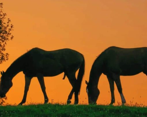 Horses Silhouette paint by number