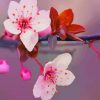 Japanese Cherry Blossom Flowers paint by numbers