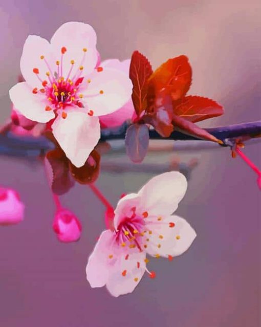 Japanese Cherry Blossom Flowers paint by numbers