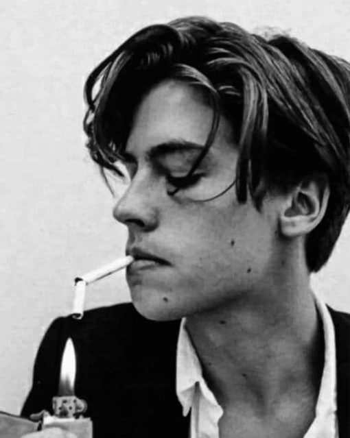 Mitchell Sprouse American Actor paint by numbers
