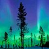 Northern Lights paint by number