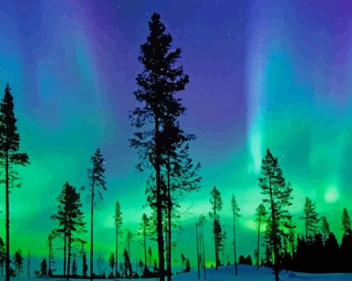 Northern Lights paint by number