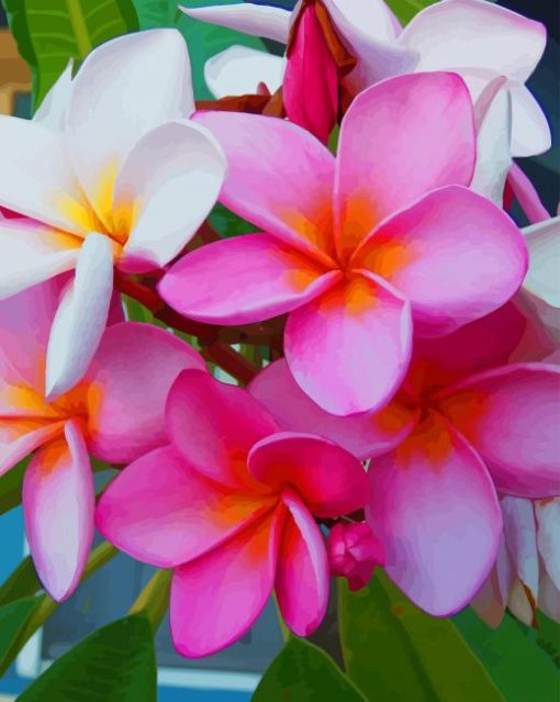 Pink Tropical Flower paint by numbers