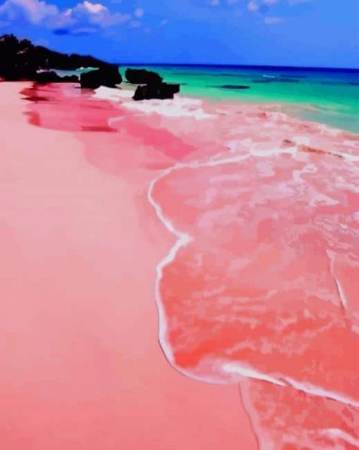 Pink Sand Beach paint by numbers