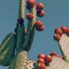 Prickly Pear paint by numbers