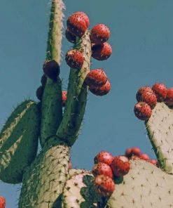 Prickly Pear paint by numbers