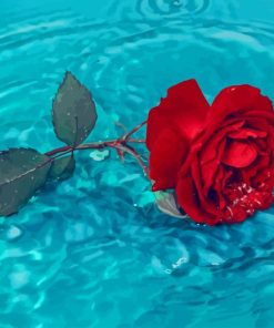Red Rose In Water paint by numbers