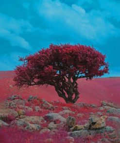 Red tree paint by numbers